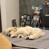 ぐんぐん成長中！