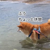 休憩する海くん