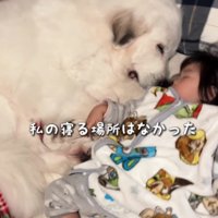 もう寝る場所がない…