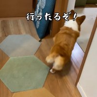 急いでリビングに戻ります