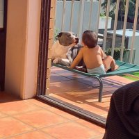 見つめ合うふたり