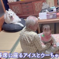 おじいちゃんと遊んでる…