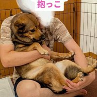 初めての抱っこに挑戦