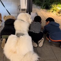 横の子どもに顔を近づけるわたまるくん1