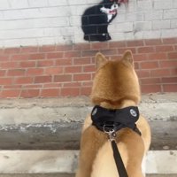 飼い主さんがもう一度ナデナデ