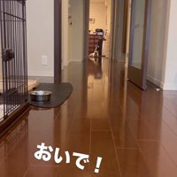 武蔵くんを呼んだ時の態度の差2