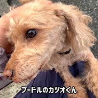 ふれあいを楽しむママさん