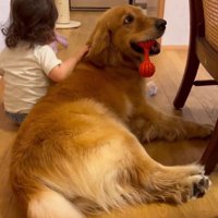 これならなでやすい♡