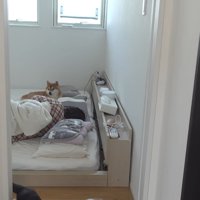 ママのそばを離れないはちくん