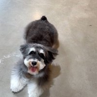ニコニコ♪