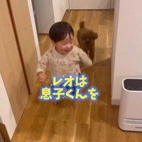 男の子を心配するレオくん8