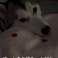 素敵なお姉ちゃんだね！