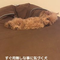 「なんもないのね」