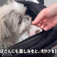 試食中はお目目がキラキラ
