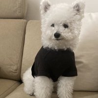 ぬいぐるみ