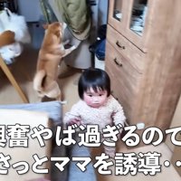 ハイテンションでお出迎え