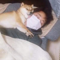 そうこうしているうちに…