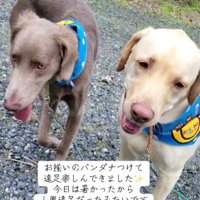 自然いっぱいの山奥