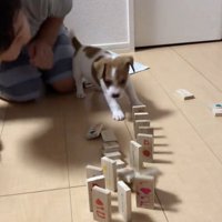 ちゃんと倒れた！