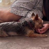 家族愛あふれる姿にホッコリ