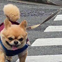 ドシン、ドシン