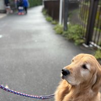 まさかの