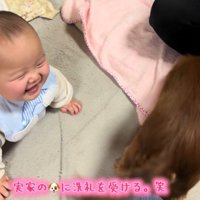 実家のワンコの洗礼を受ける赤ちゃん4