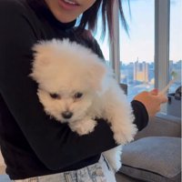 八角くん＆うゆちゃん