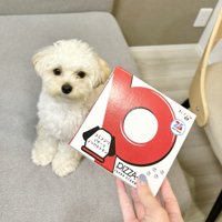 ピザ