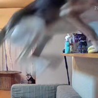 またカウンターへ！！