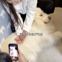 迷惑そうな表情。