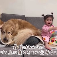 最後はみんなで添い寝