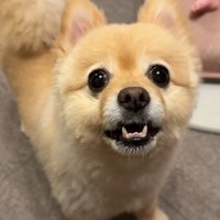 「パパ、オムツ替えてあげて！」