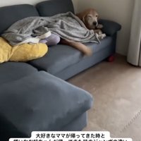 ママが帰って来た！