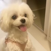 笑顔になった苺ちゃん