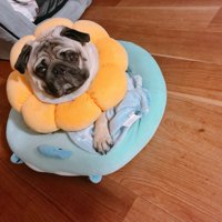 ポンデリング