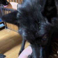 全力で甘え続けています♡