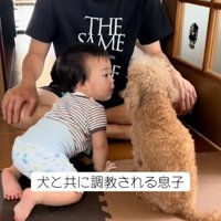 吠えるムーちゃん