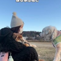 いつも不安そう…