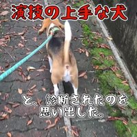 足をかばうこま君5