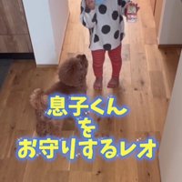 起きてからも全力警護です