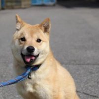 舌先の欠損も…