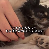 これからも幸せにね