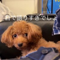 「私もいるんだけど…？」