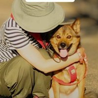 愛されていることが伝わる笑顔