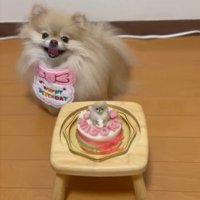 お誕生日