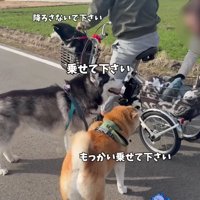 全員が自転車を希望