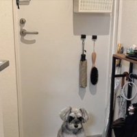 門番