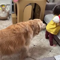 「ほのちゃんに返してあげて！」