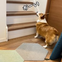 「お兄ちゃん、そろそろ時間だよ～！」